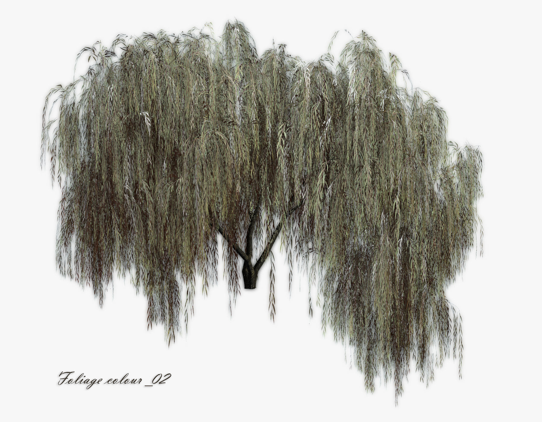   Set Tree Willow  3D model_8