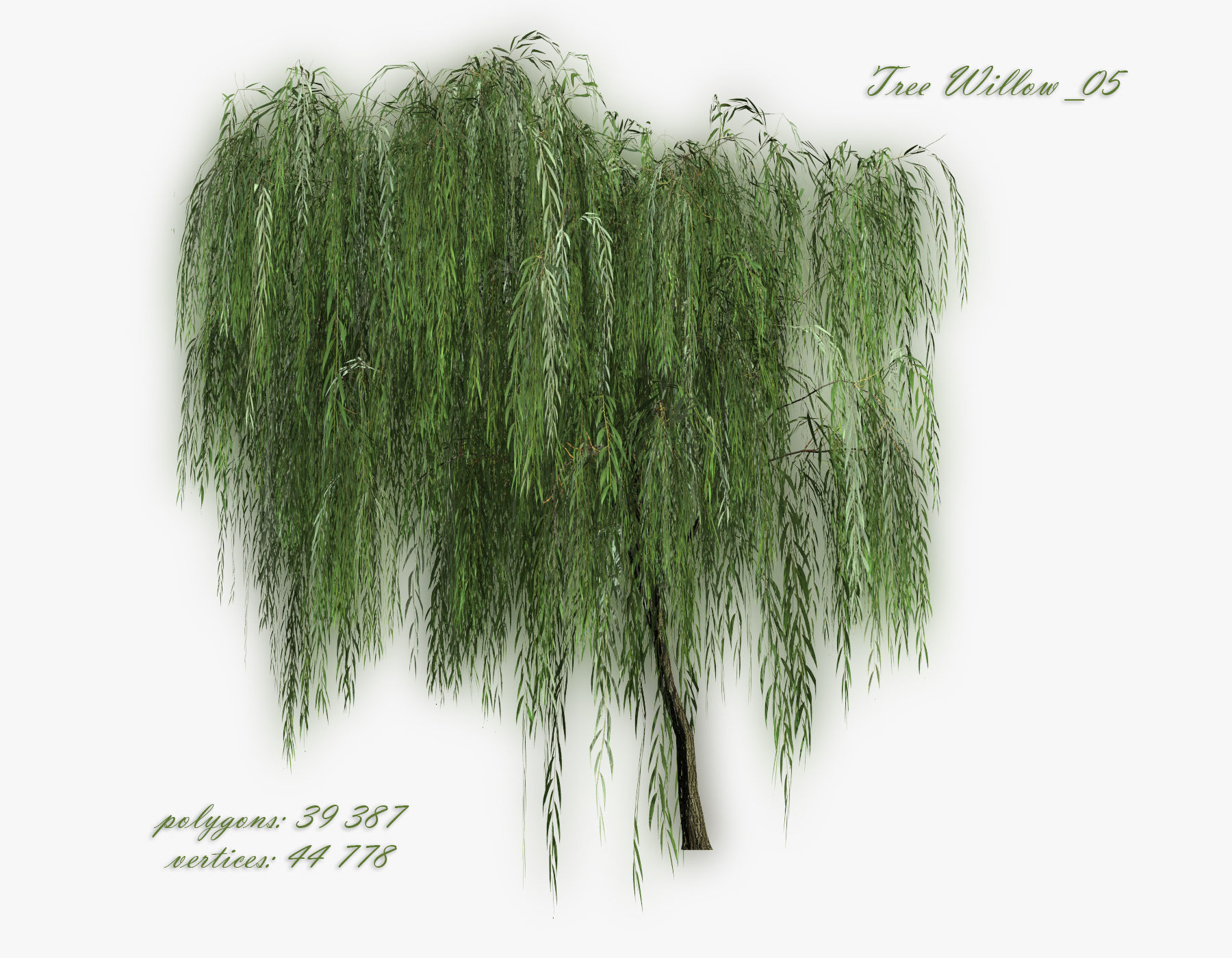   Set Tree Willow  3D model_6