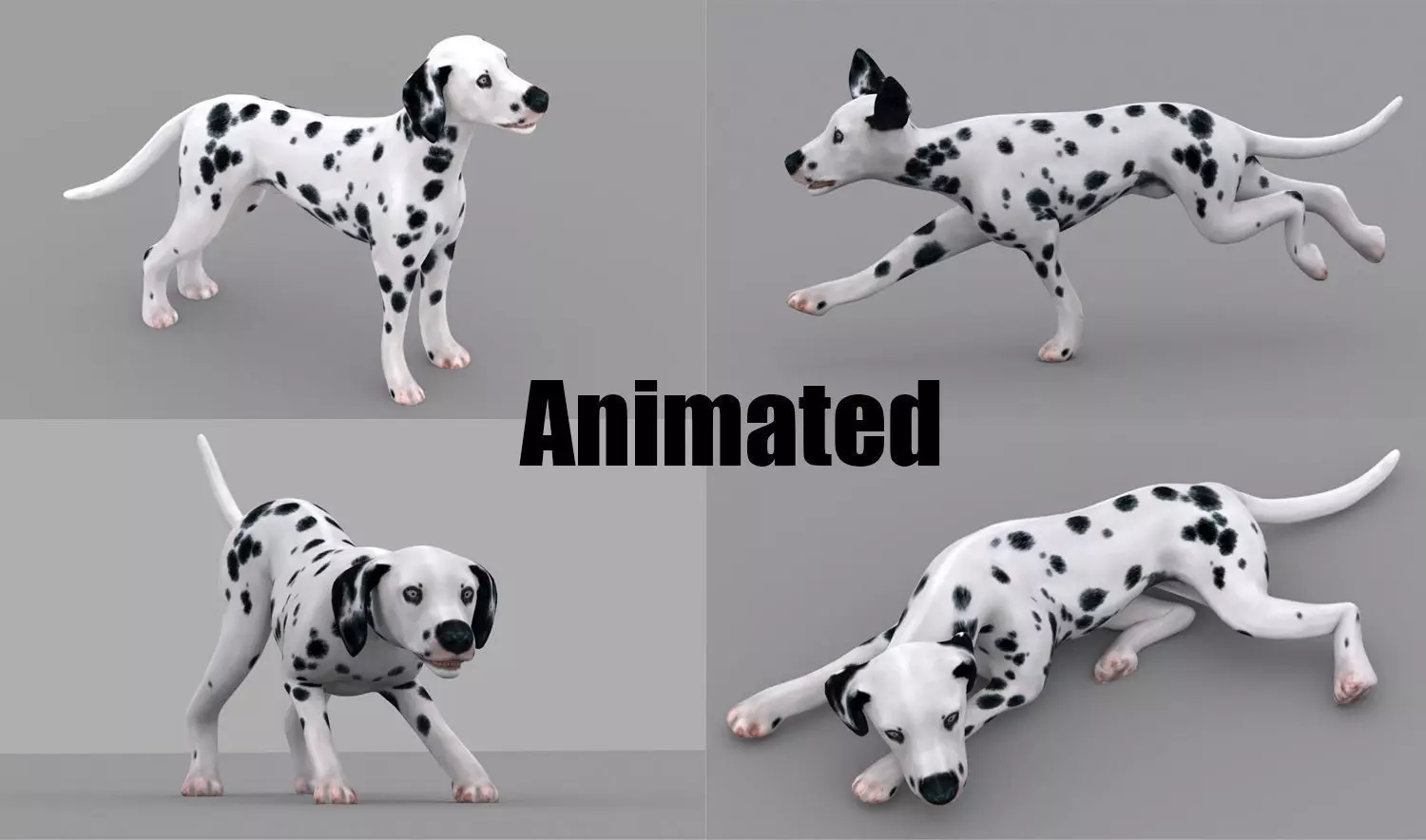 dog dalmatian spotty dog 3D model