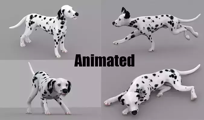 dog dalmatain spotty dog 3D model