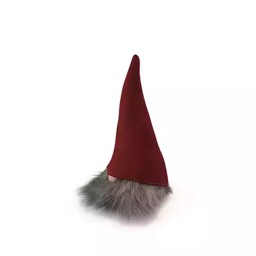 DWARF gnome hat 3D model