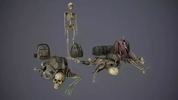 Traveller Skull Skeleton with Bags Low-poly 3D model