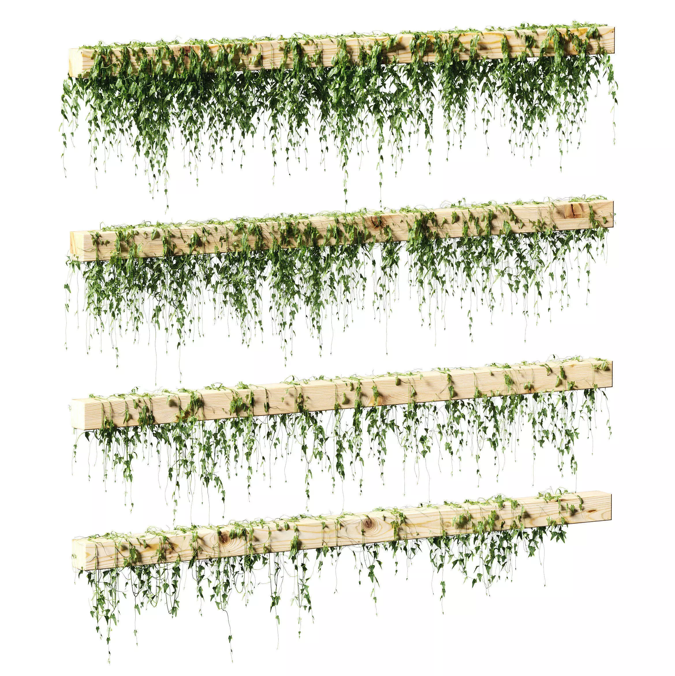 Ivy for beams or ceilings  - 4 models 3D model_0
