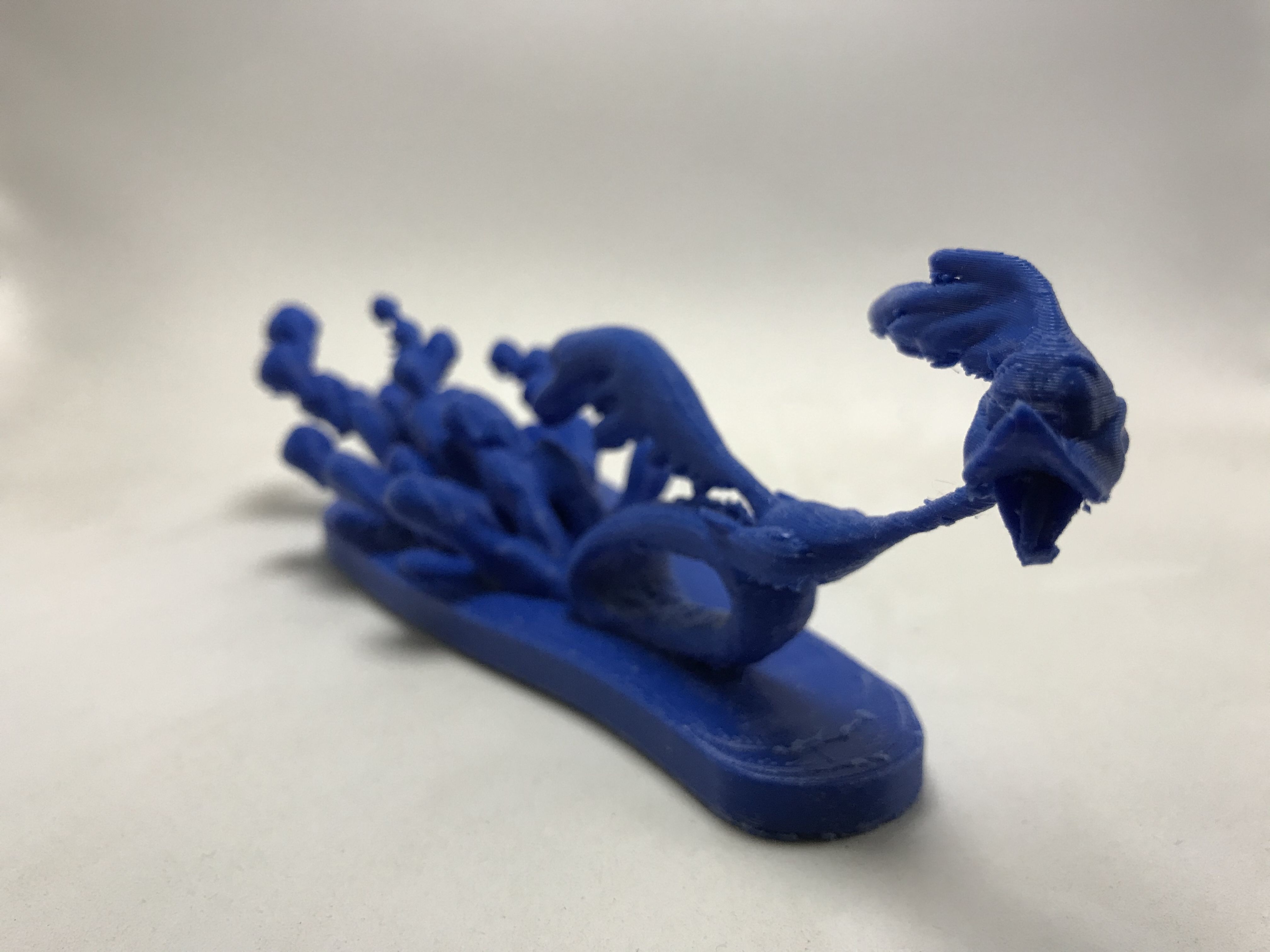The Road Runner 3D print model_12