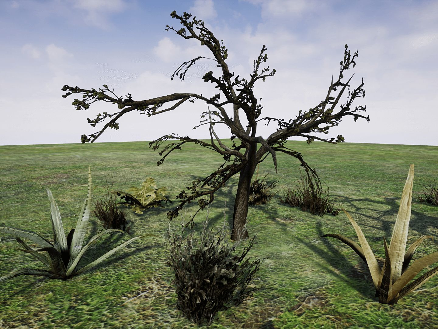 Desert Plants for UNREAL Low-poly 3D model_10