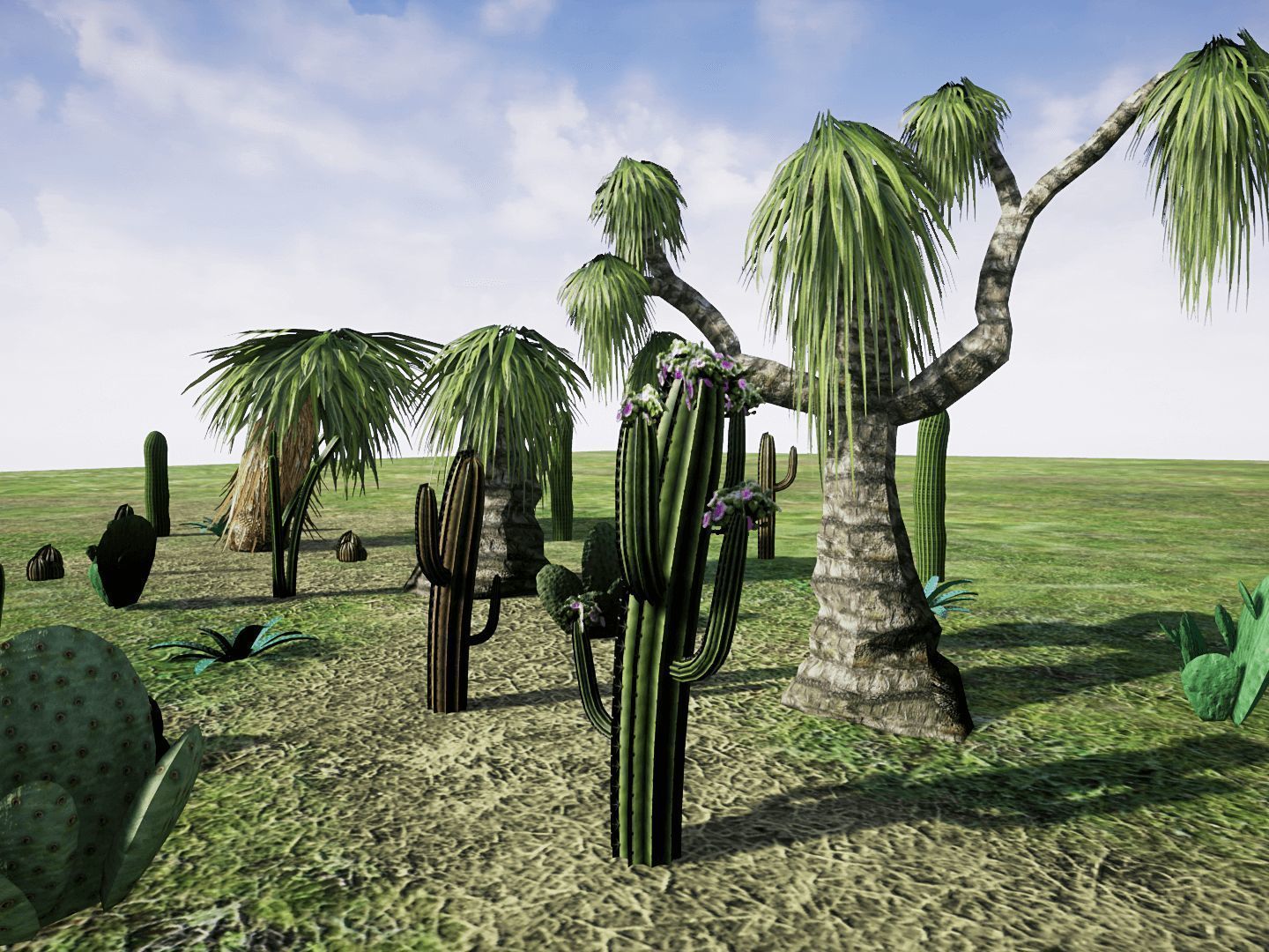 Desert Plants for UNREAL Low-poly 3D model_4