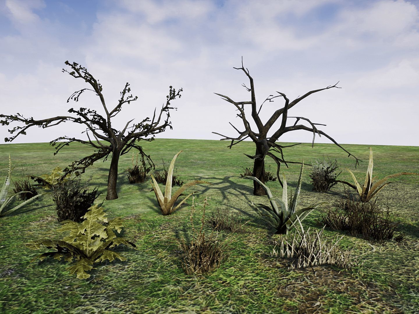 Desert Plants for UNREAL Low-poly 3D model_7