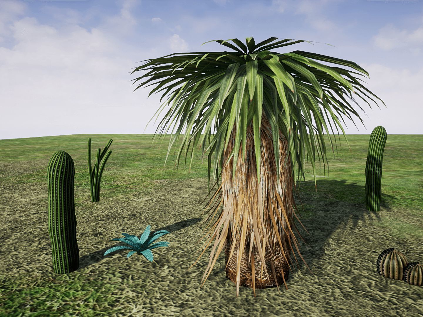 Desert Plants for UNREAL Low-poly 3D model_3