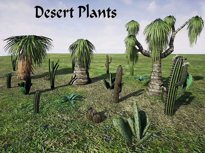 Desert Plants for UNREAL Low-poly 3D model