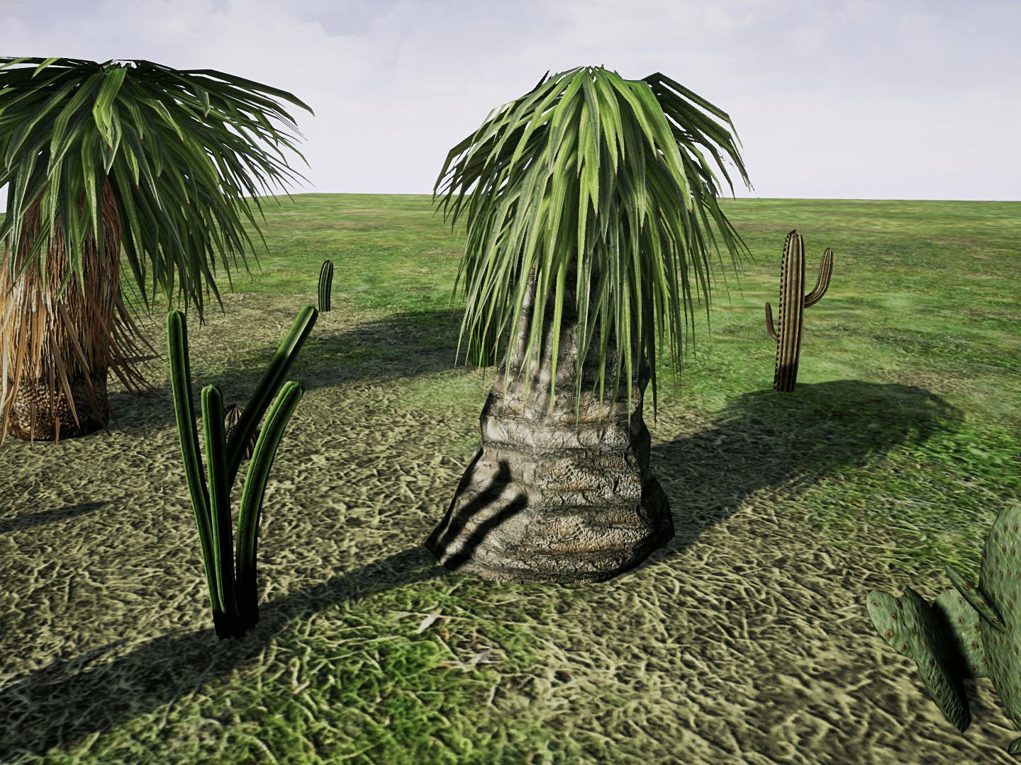 Desert Plants for UNREAL Low-poly 3D model_5