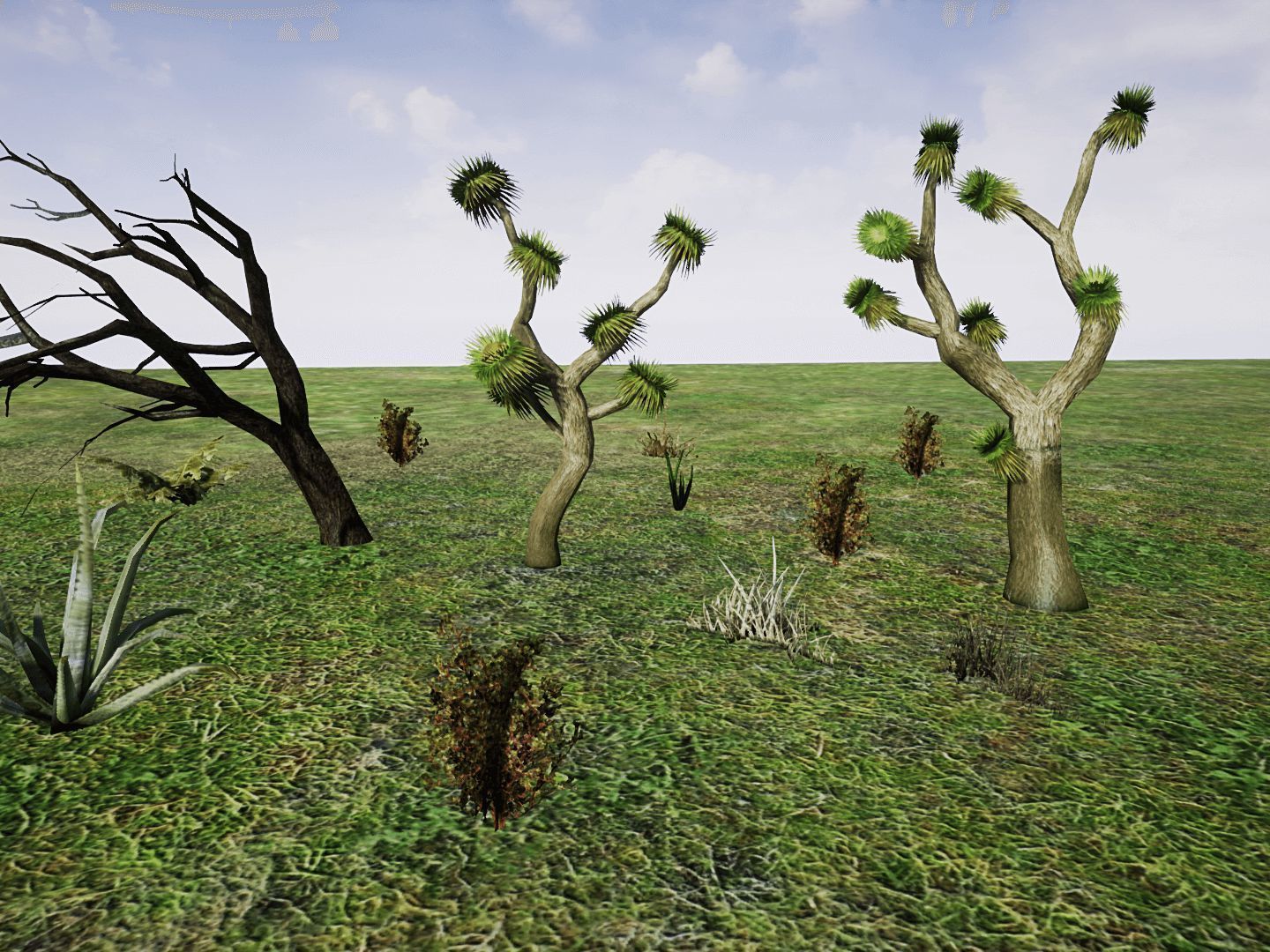 Desert Plants for UNREAL Low-poly 3D model_8