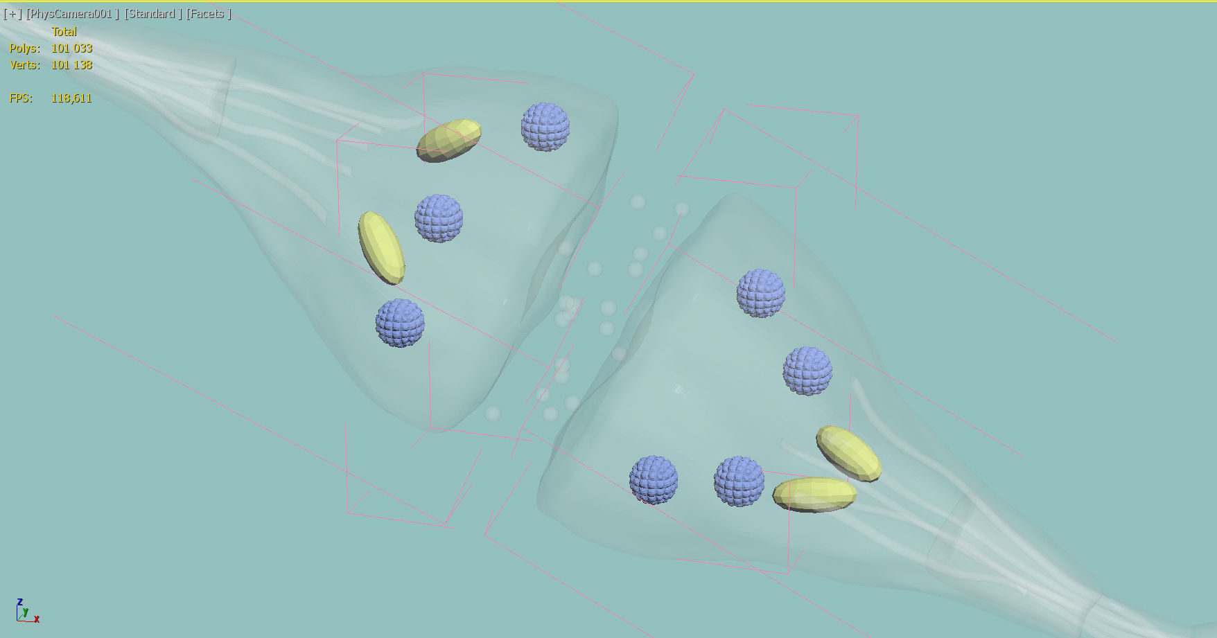 Axon terminal 3D 3D model_3