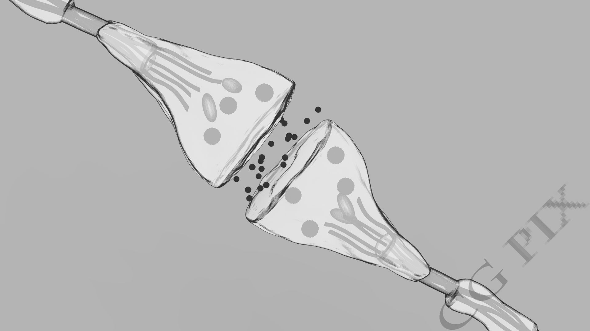 Axon terminal 3D 3D model_5