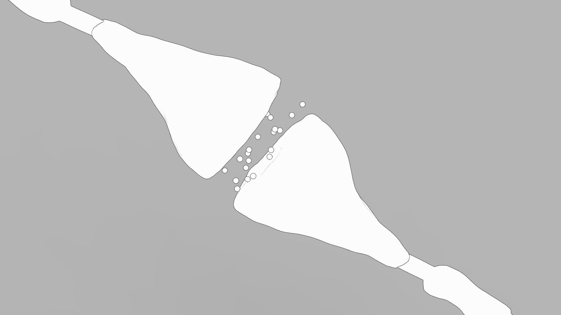 Axon terminal 3D 3D model_4