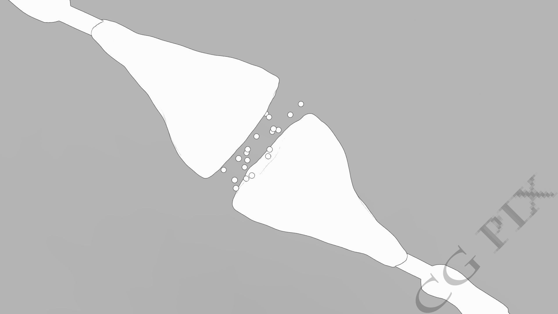 Axon terminal 3D 3D model_2