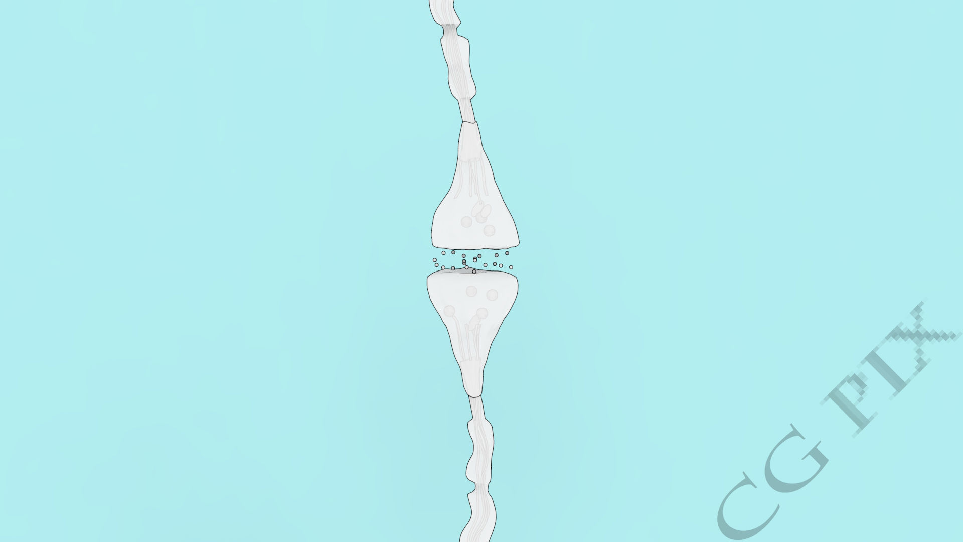 Axon terminal 3D 3D model_7