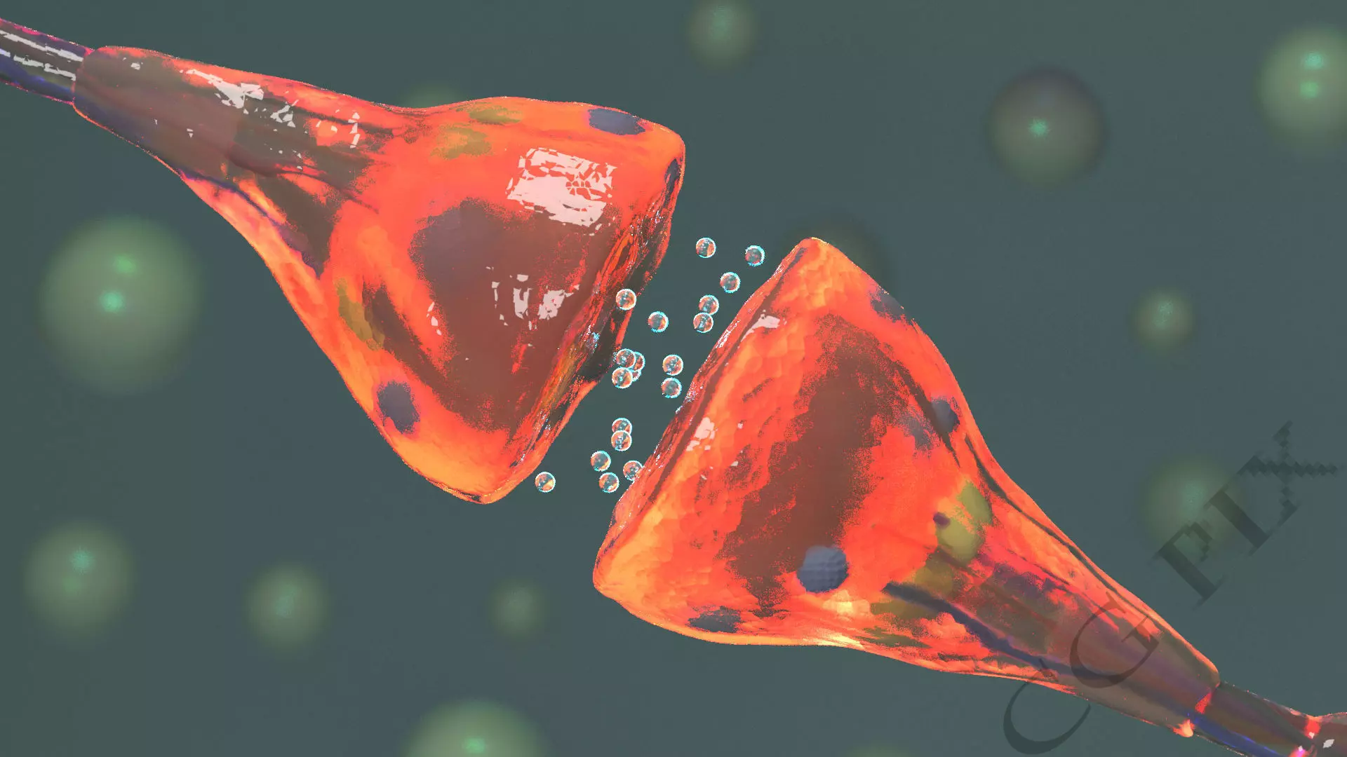 Axon terminal 3D 3D model_0