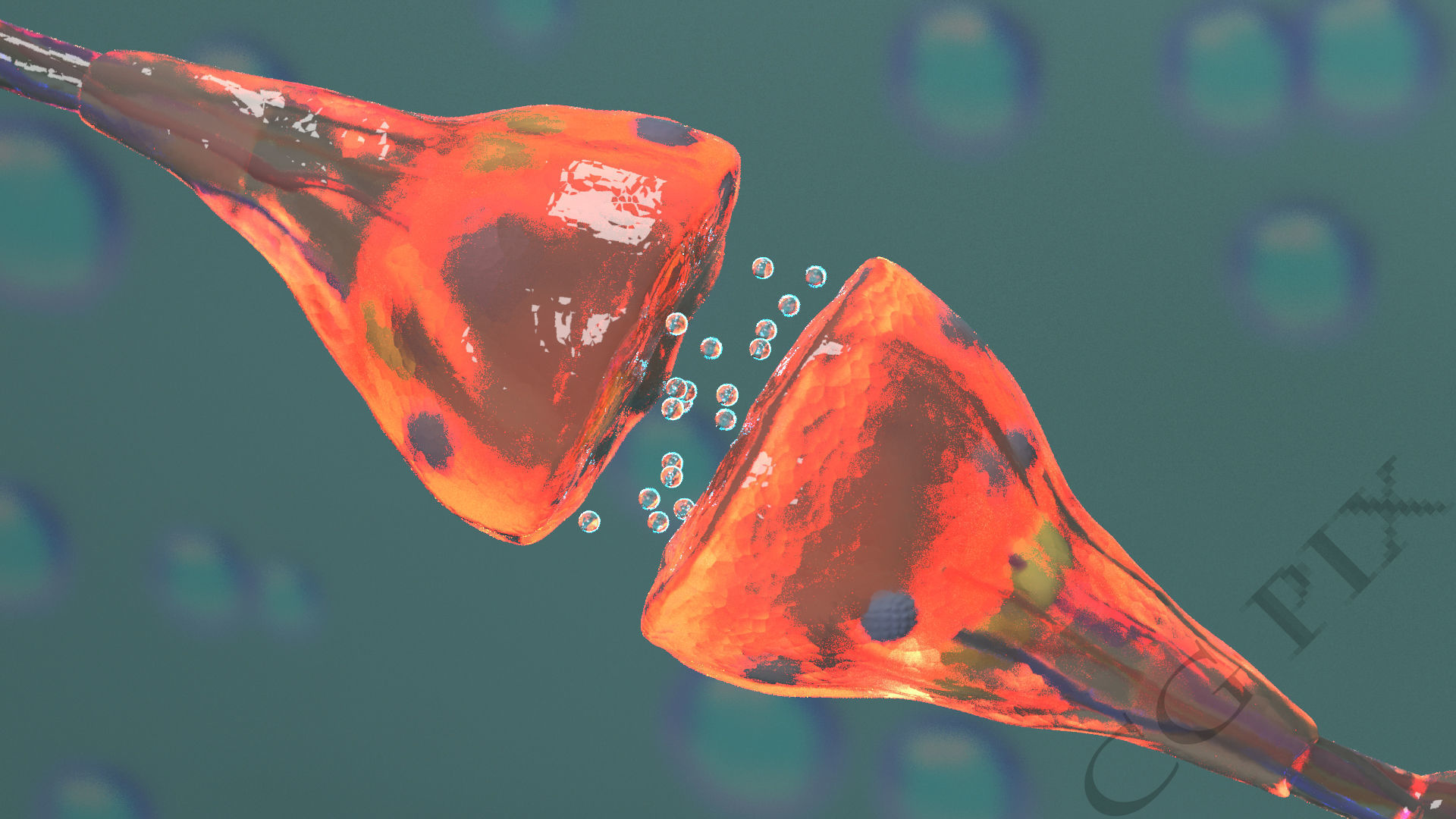 Axon terminal 3D 3D model_1