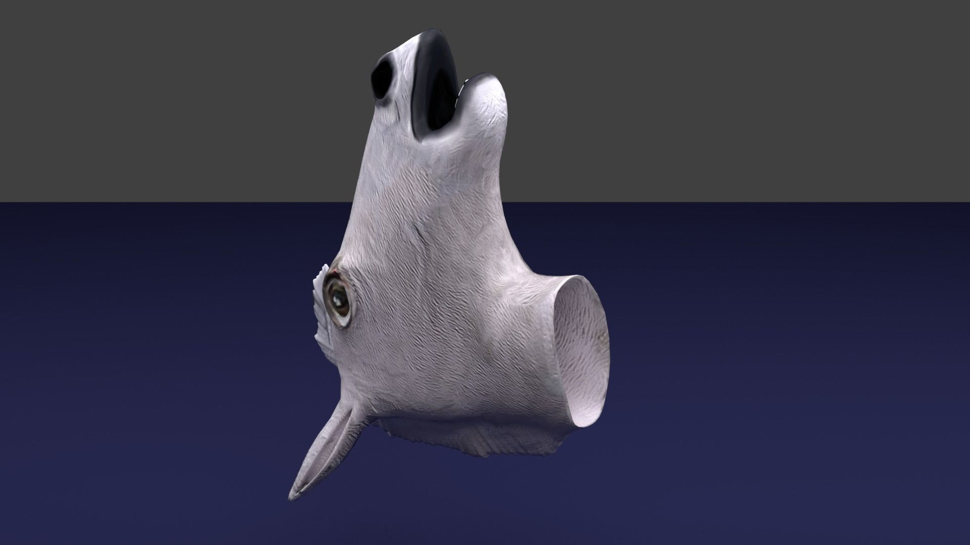 Horse Mask White Low-poly 3D model_5