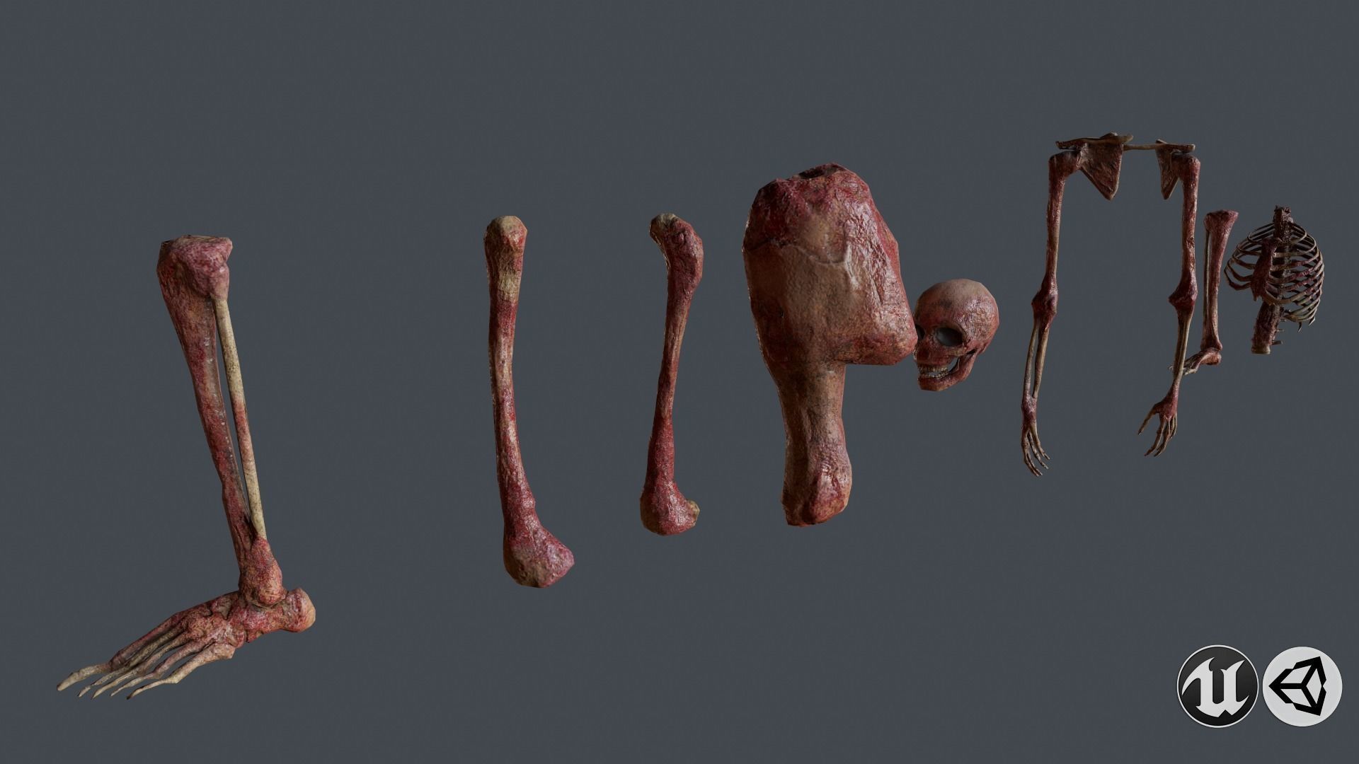 Skull and Bones Low-poly 3D model_4