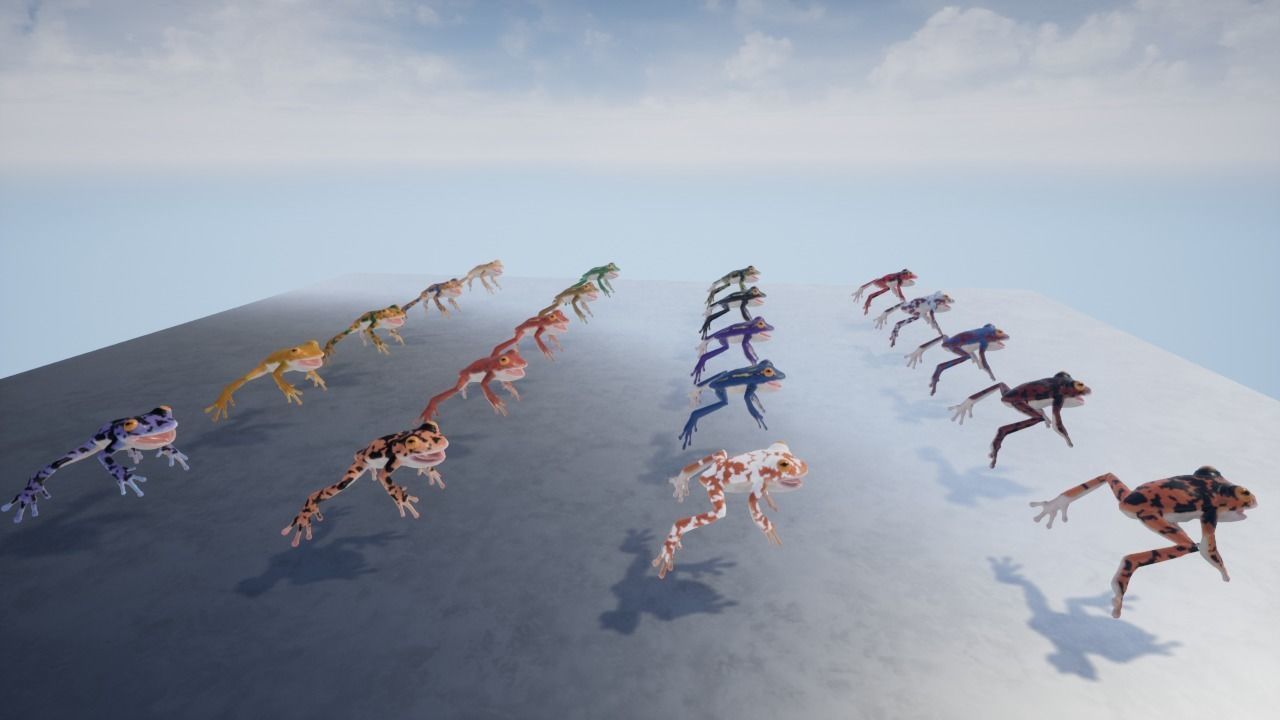 3D Frog Low-poly 3D model_4