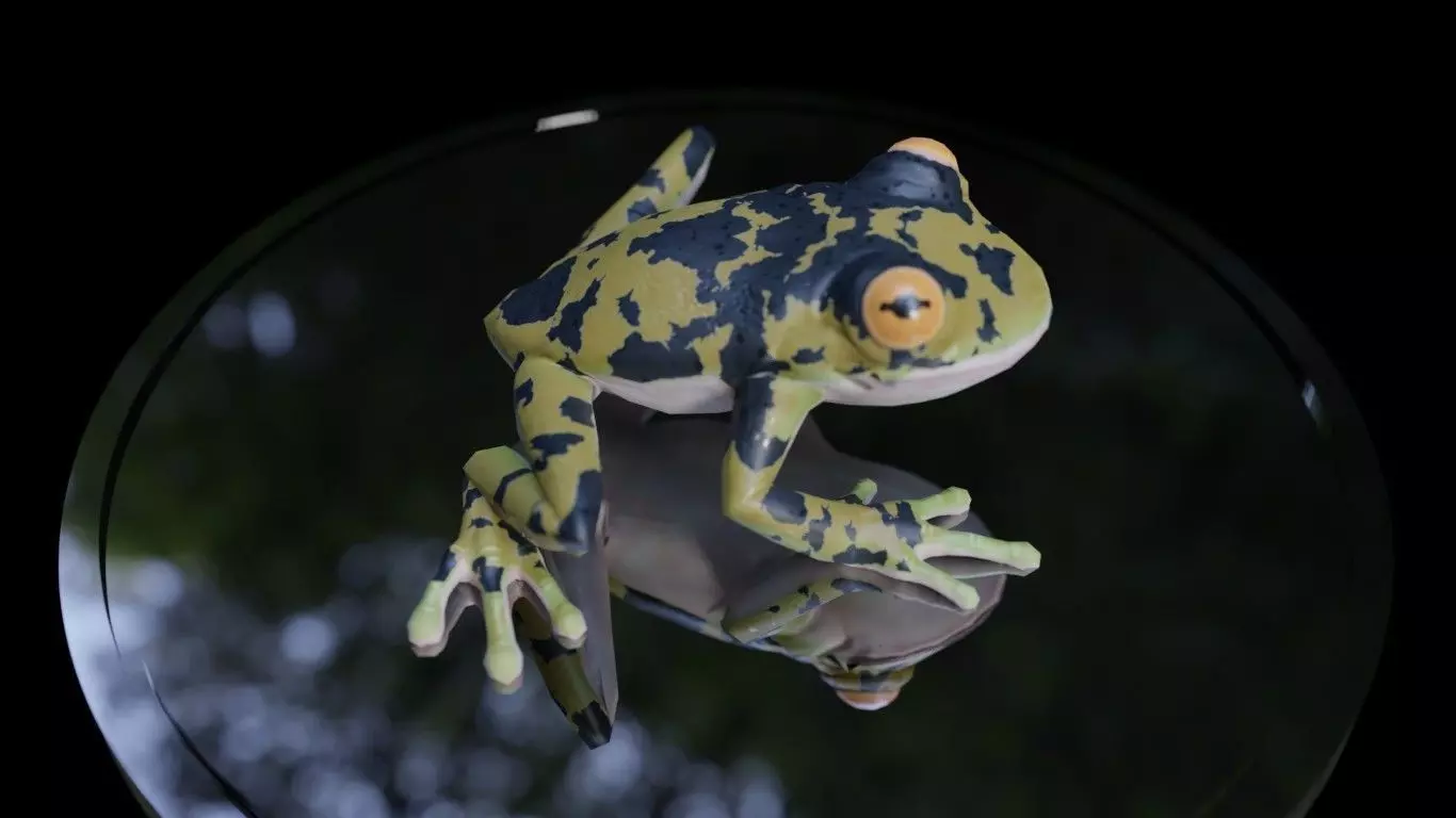 3D Frog Low-poly 3D model_0