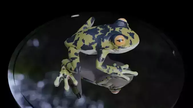 3D Frog Low-poly 3D model