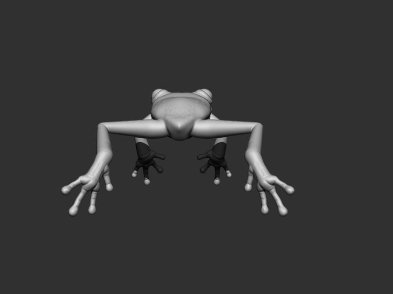 3D Frog Low-poly 3D model_11