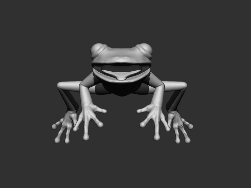 3D Frog Low-poly 3D model_8