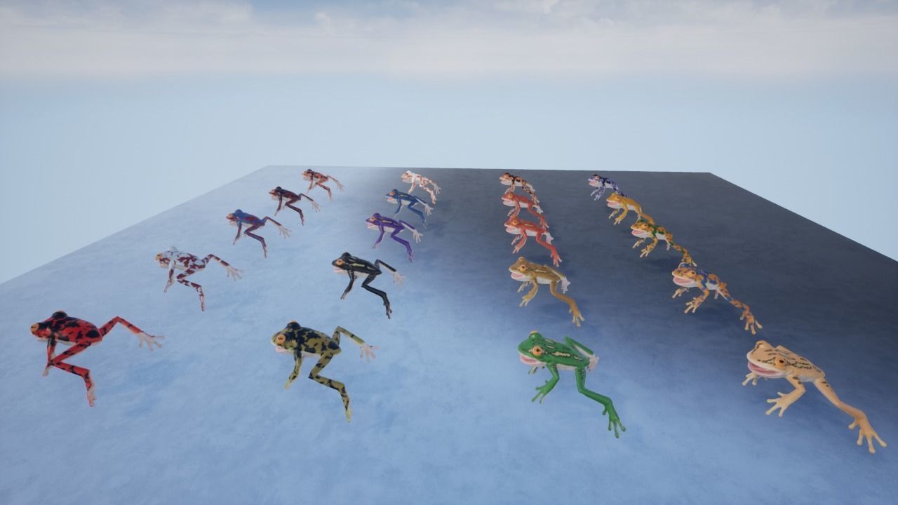 3D Frog Low-poly 3D model_6