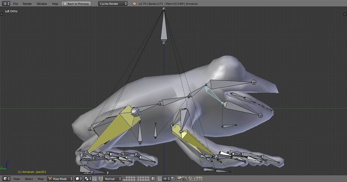 3D Frog Low-poly 3D model_16