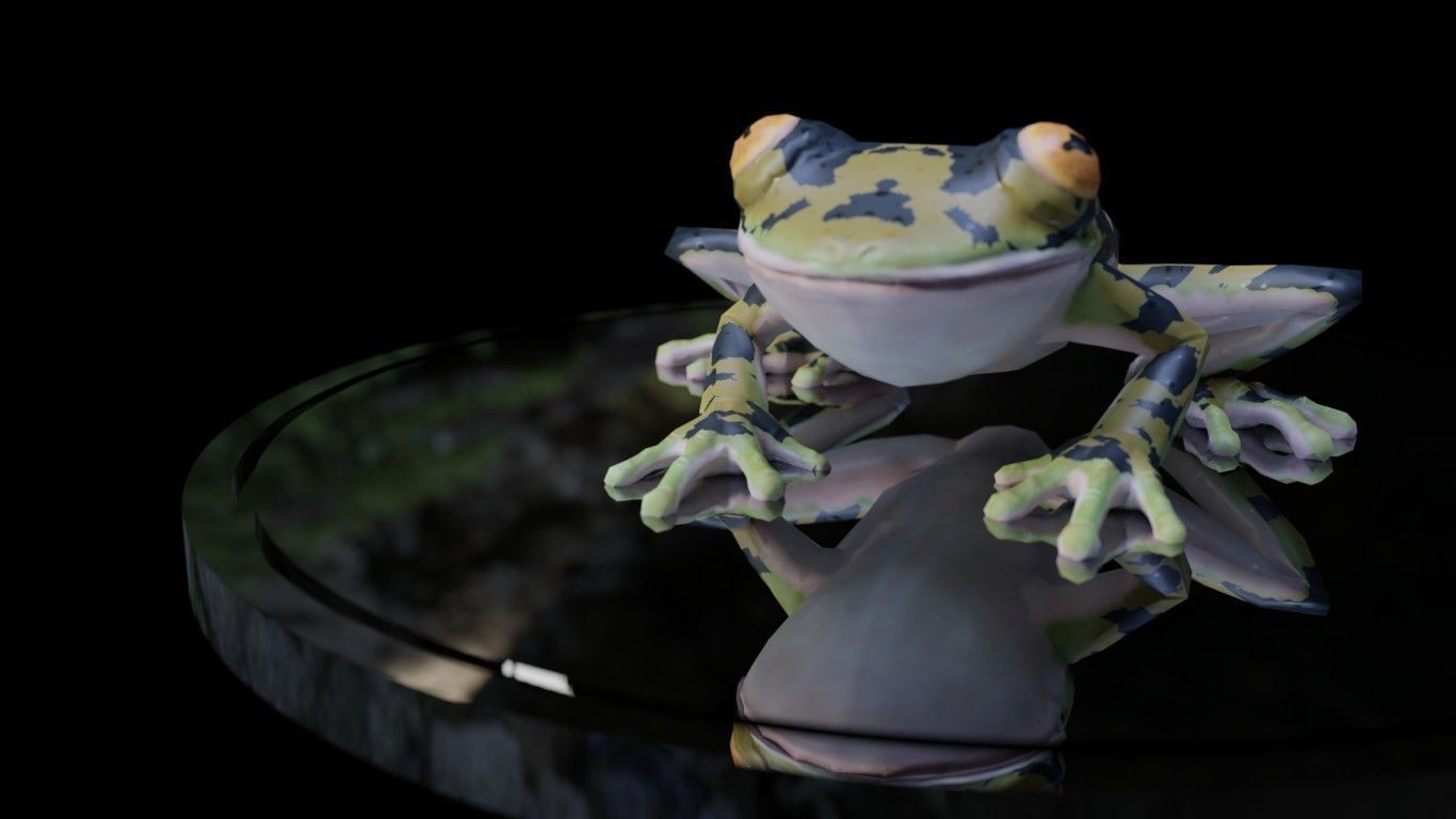 3D Frog Low-poly 3D model_2