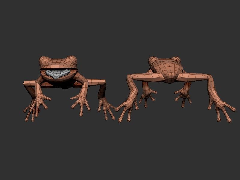 3D Frog Low-poly 3D model_13