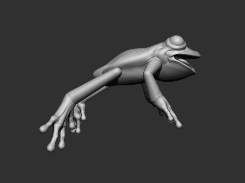 3D Frog Low-poly 3D model_7