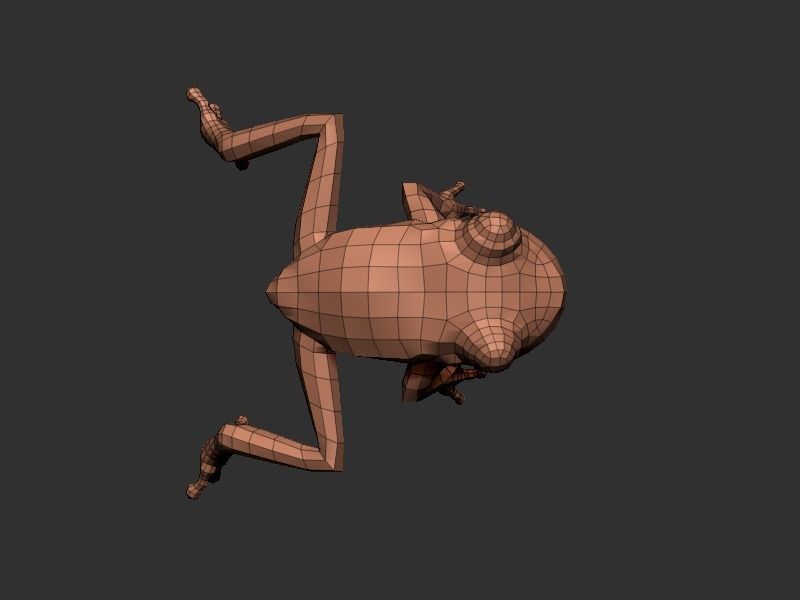 3D Frog Low-poly 3D model_12