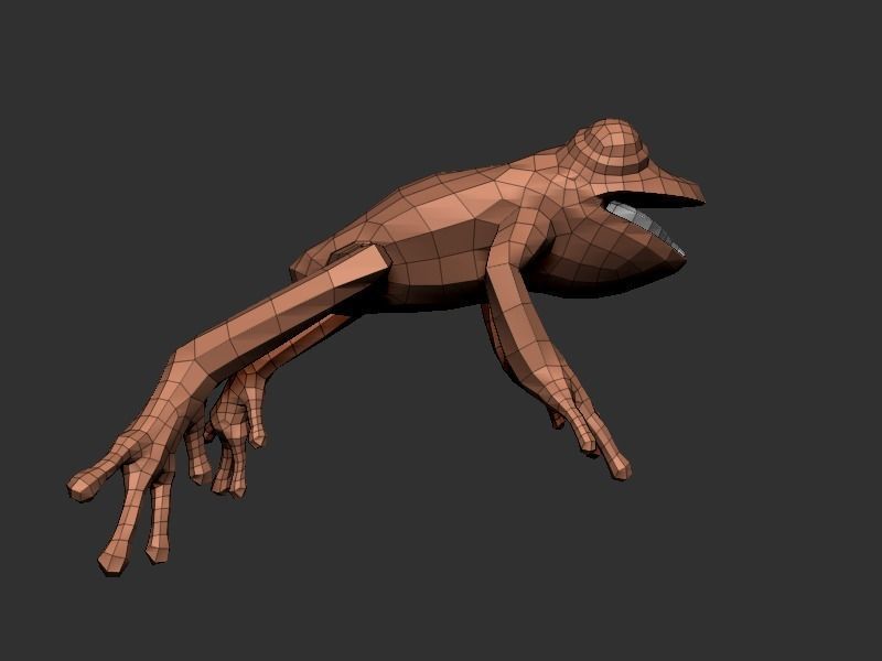 3D Frog Low-poly 3D model_14