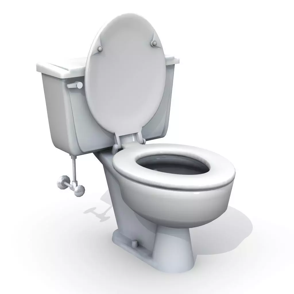 Vintage Toilet 3D model_0