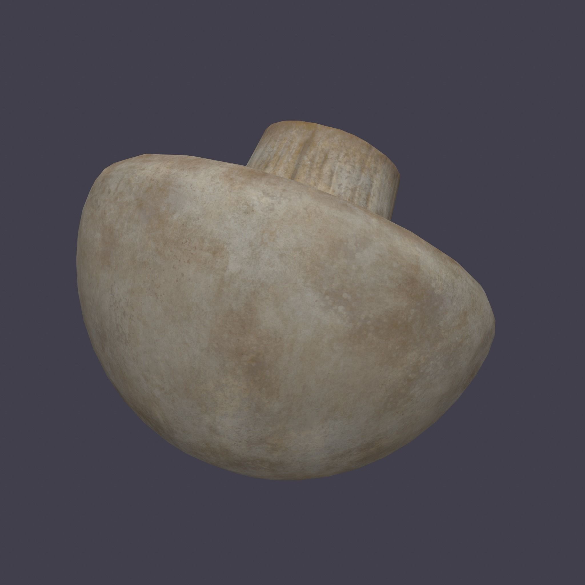 Mushrooms Low-poly 3D model_12