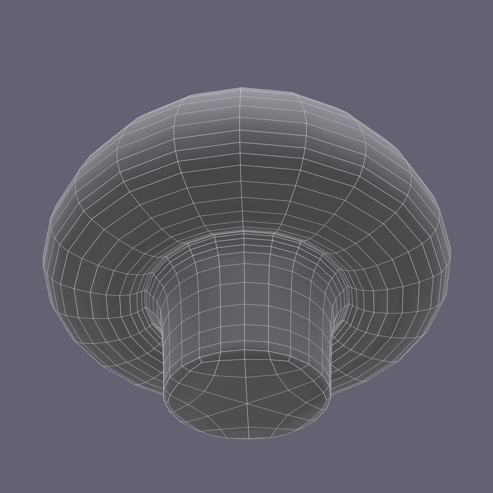 Mushrooms Low-poly 3D model_25