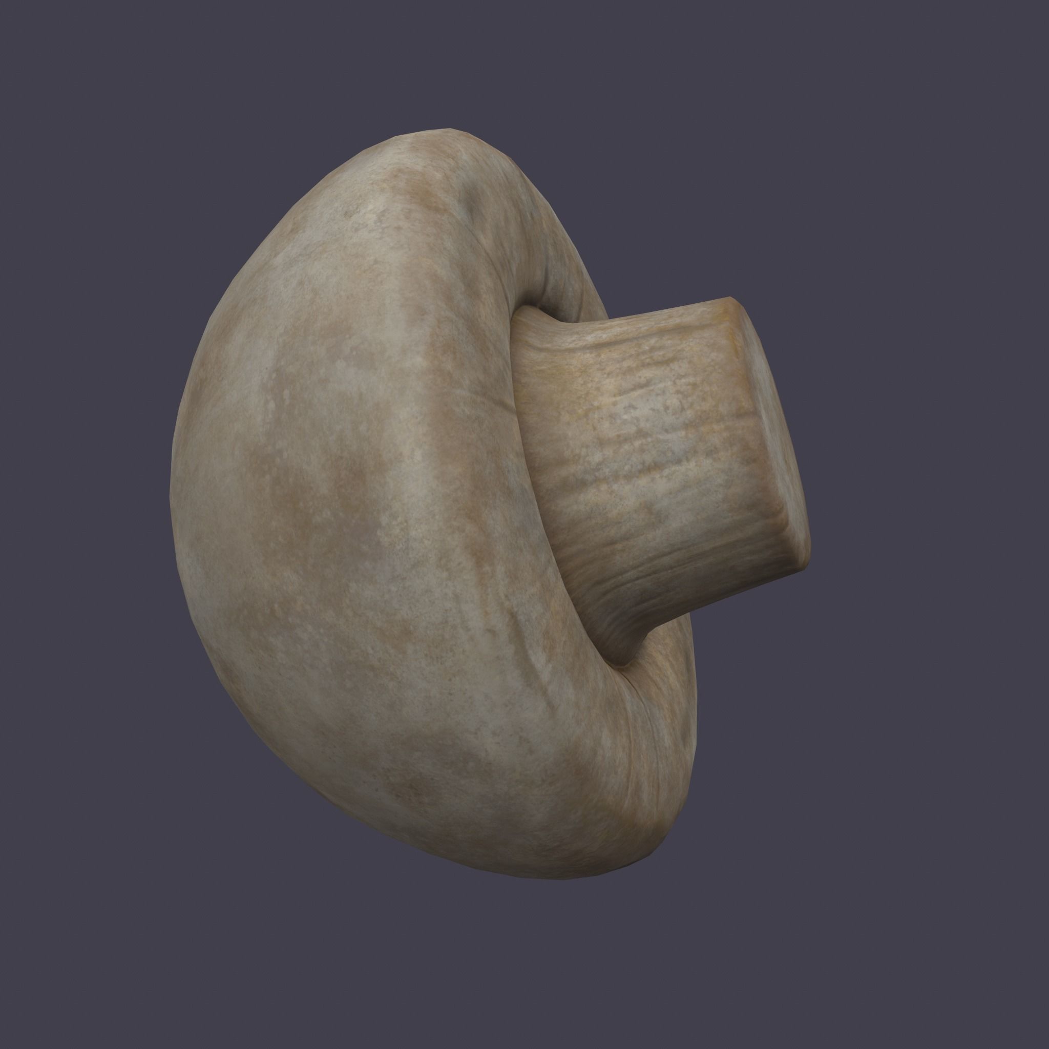 Mushrooms Low-poly 3D model_11