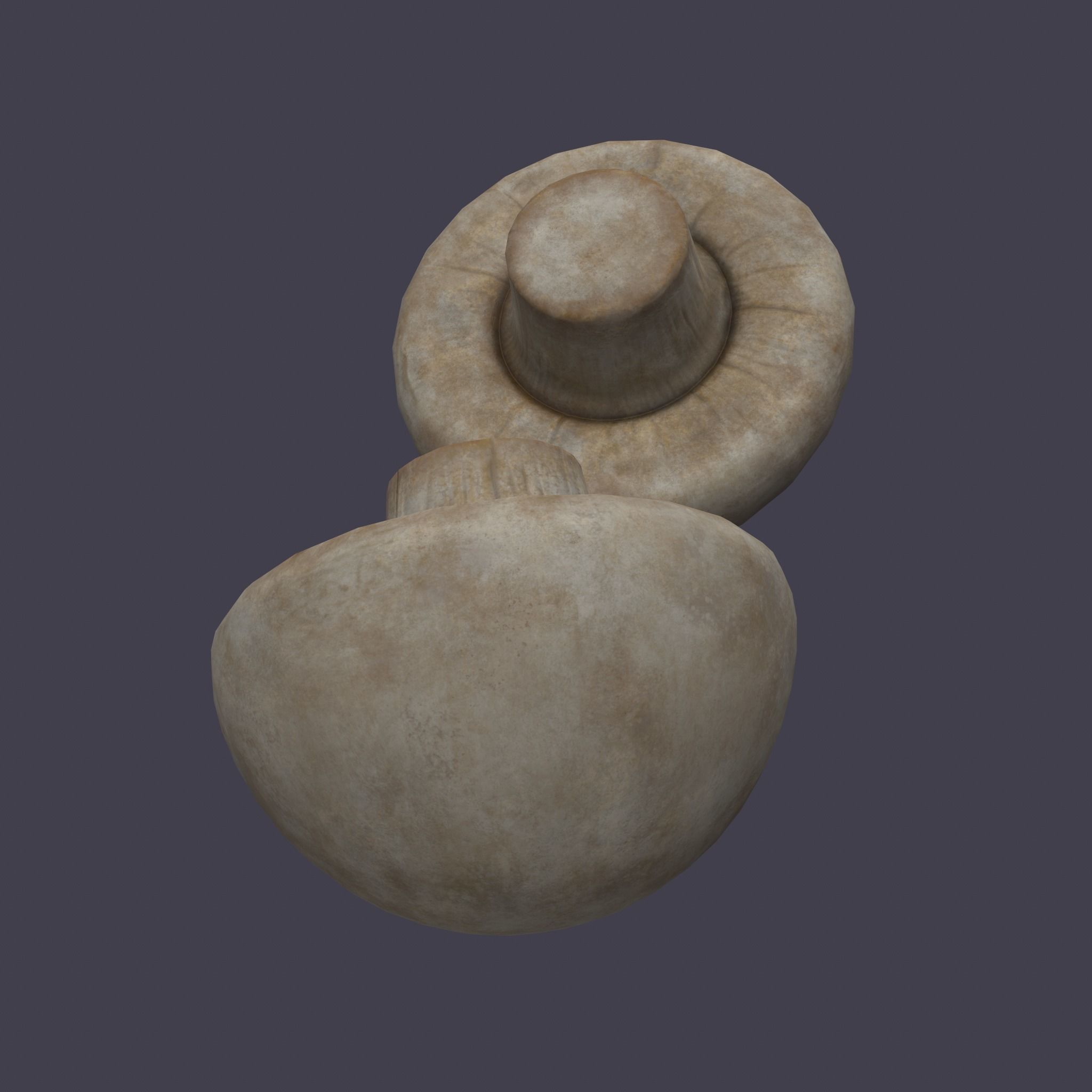 Mushrooms Low-poly 3D model_3