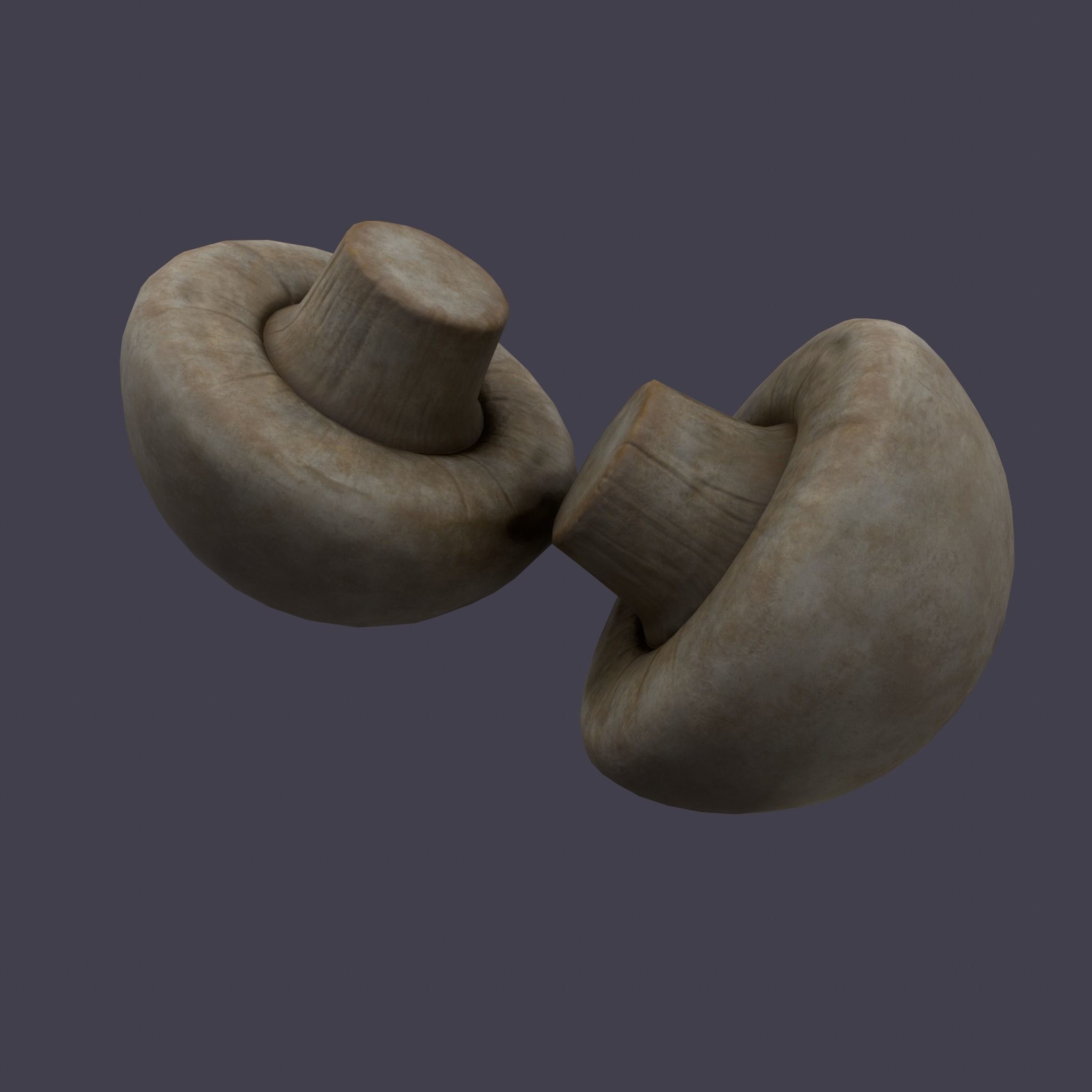 Mushrooms Low-poly 3D model_5