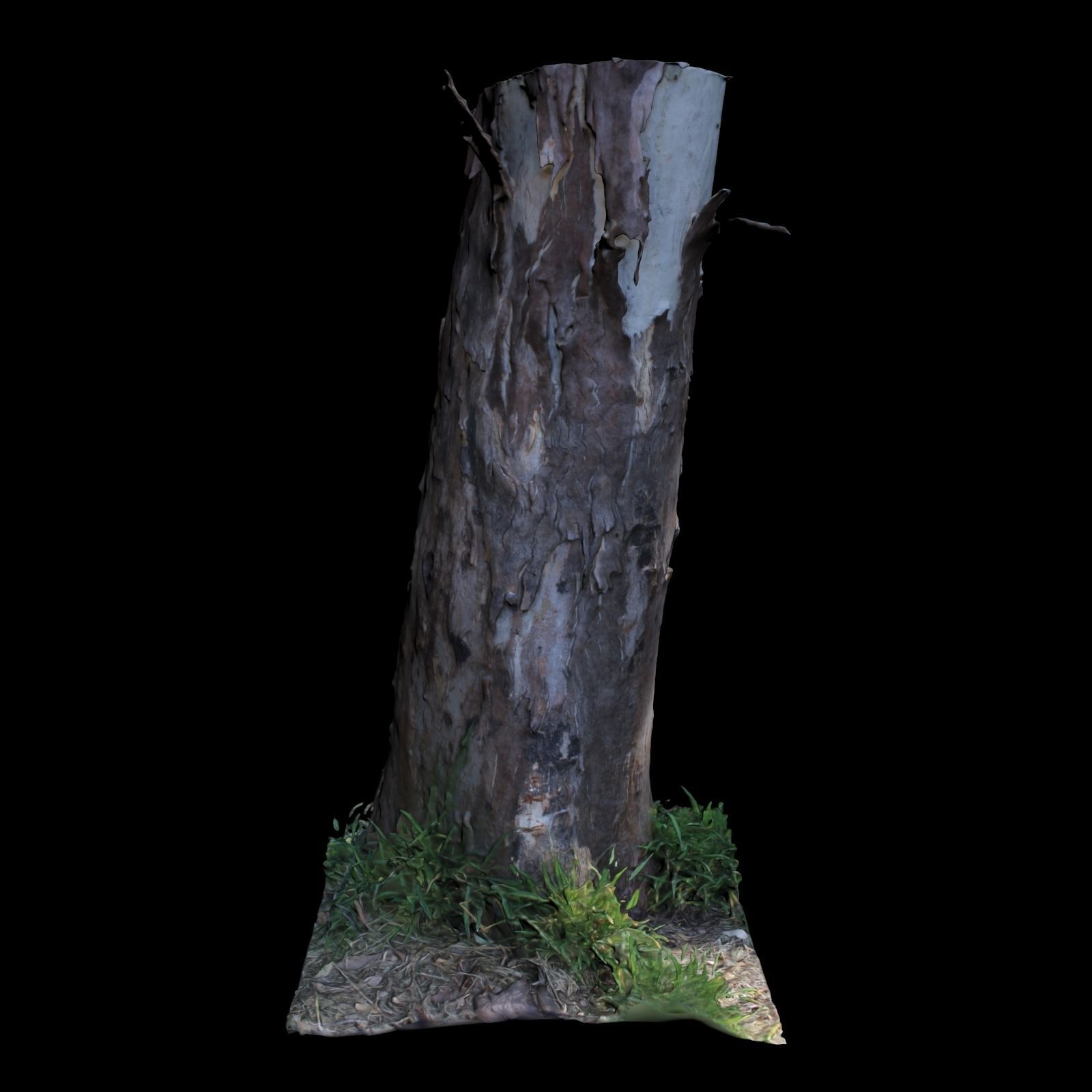Tree D stump with hole in it 3D model_3