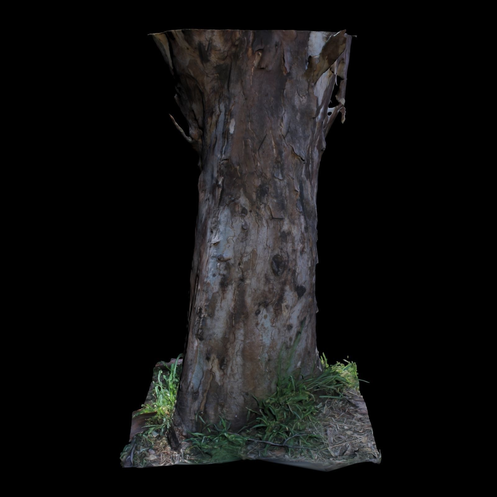 Tree D stump with hole in it 3D model_2