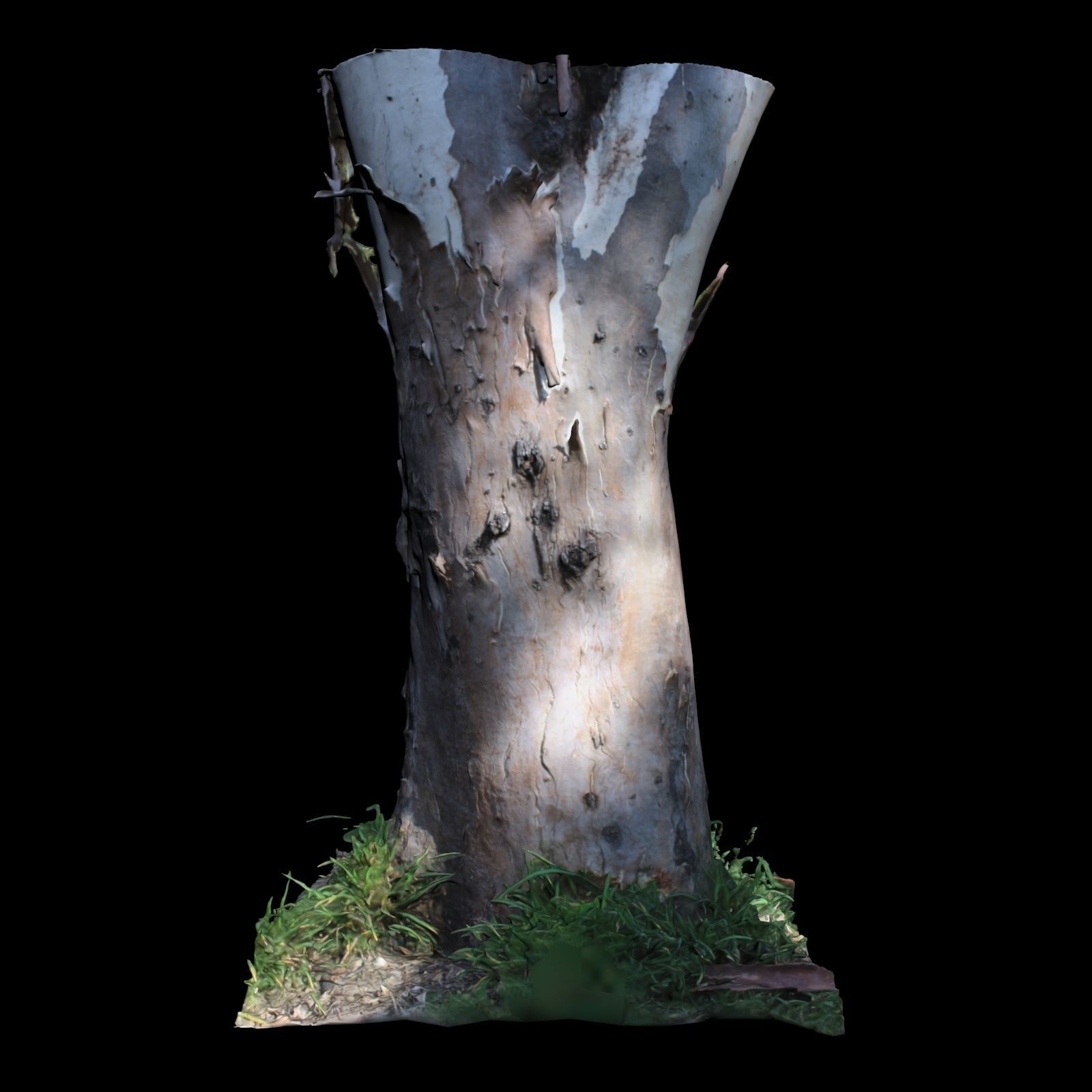 Tree D stump with hole in it 3D model_4