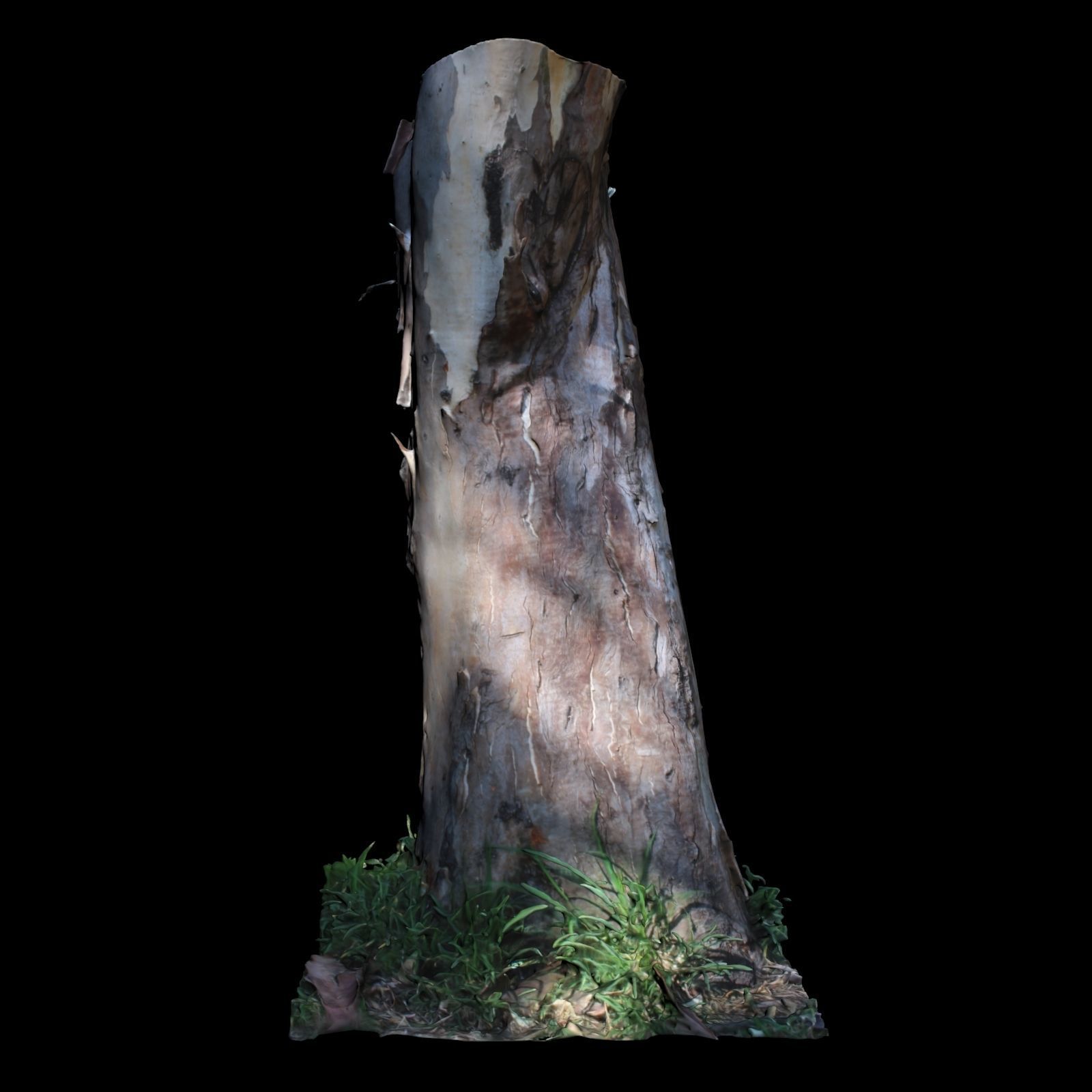 Tree D stump with hole in it 3D model_5