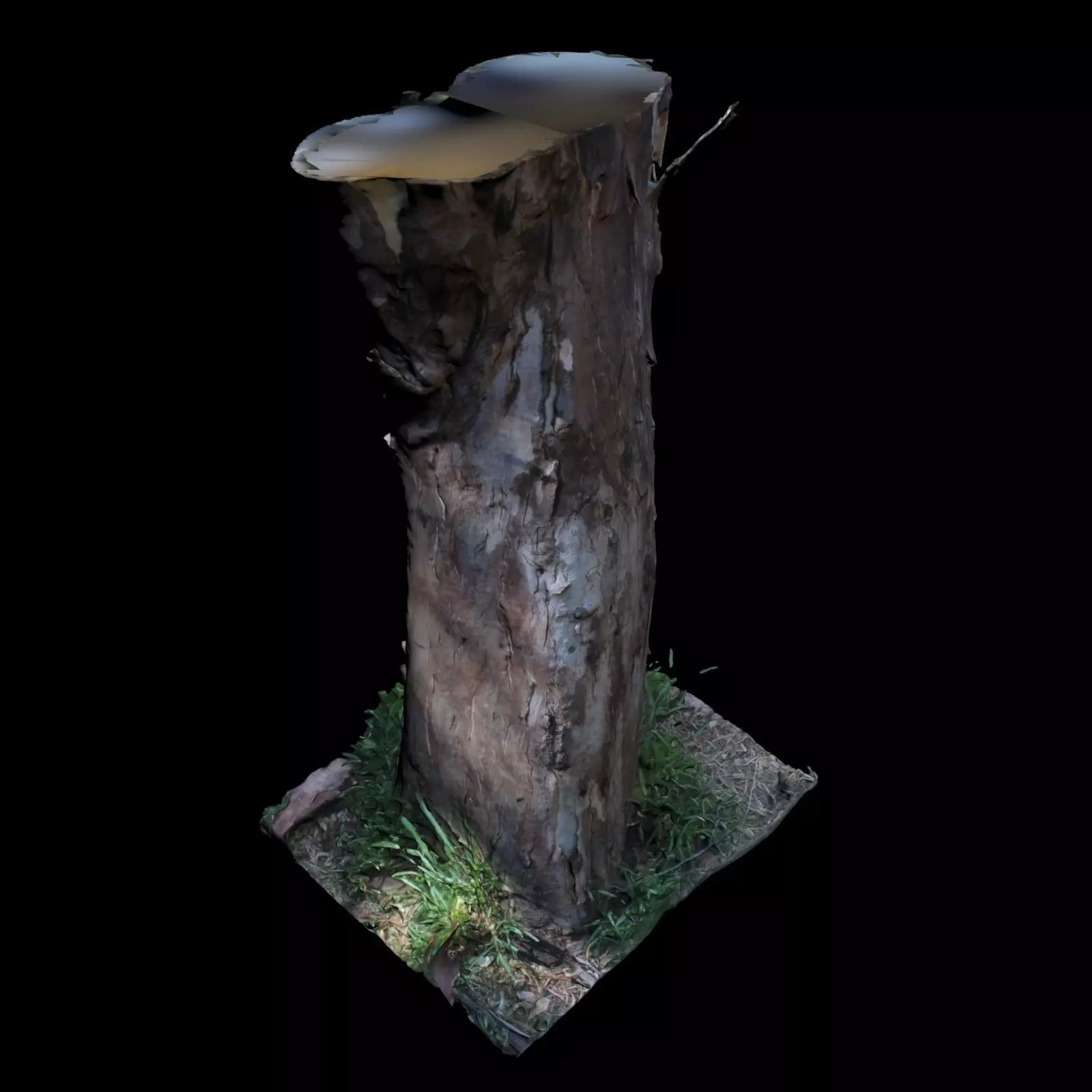 Tree D stump with hole in it 3D model_0