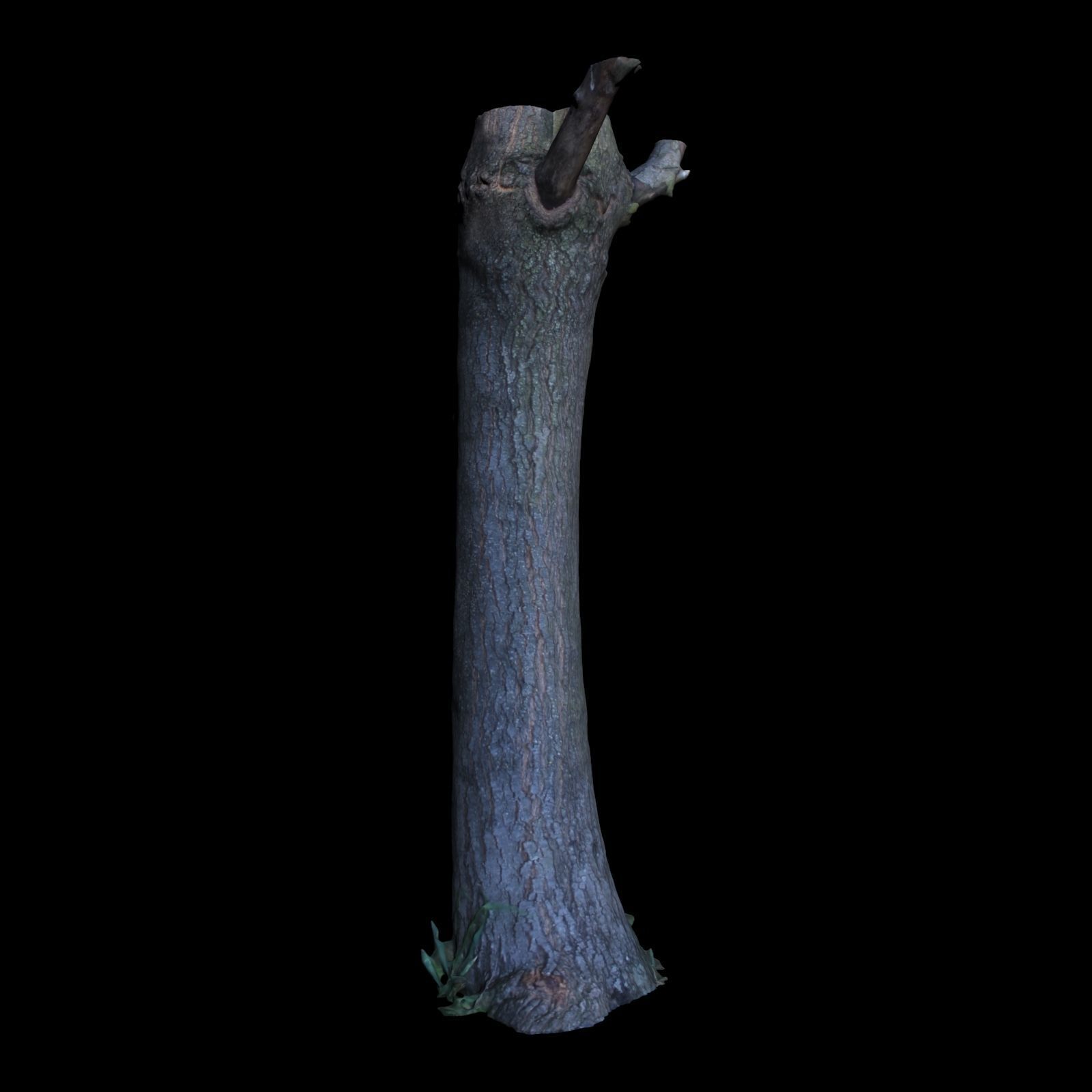 Tree G trunk 3D model_2