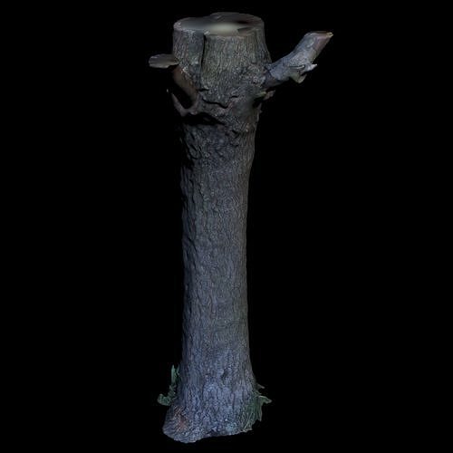 Tree G trunk 3D model