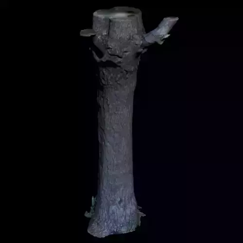 Tree G trunk 3D model